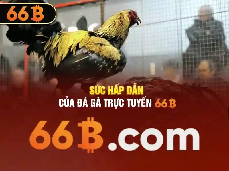 Người chơi đang nhập mã code trên ứng dụng 66b