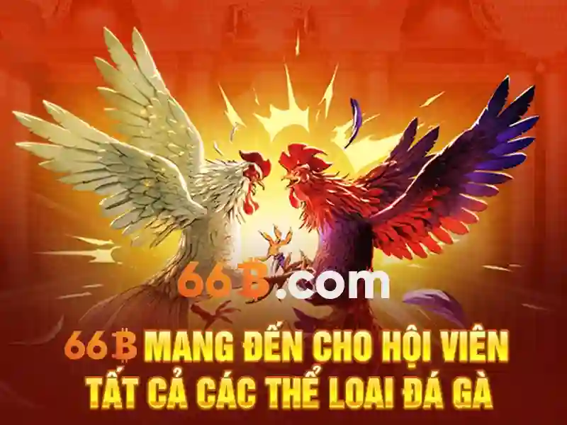 66b: một khía cạnh đa nghĩa