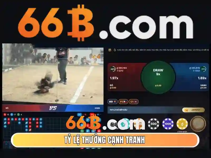 Sản phẩm và dịch vụ của tiến lên 66b – Ứng dụng thực tiễn