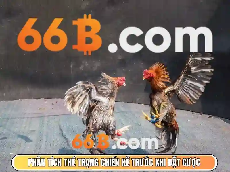 link dự phòng 66b – Giải pháp tối ưu cho kết nối an toàn và liên tục