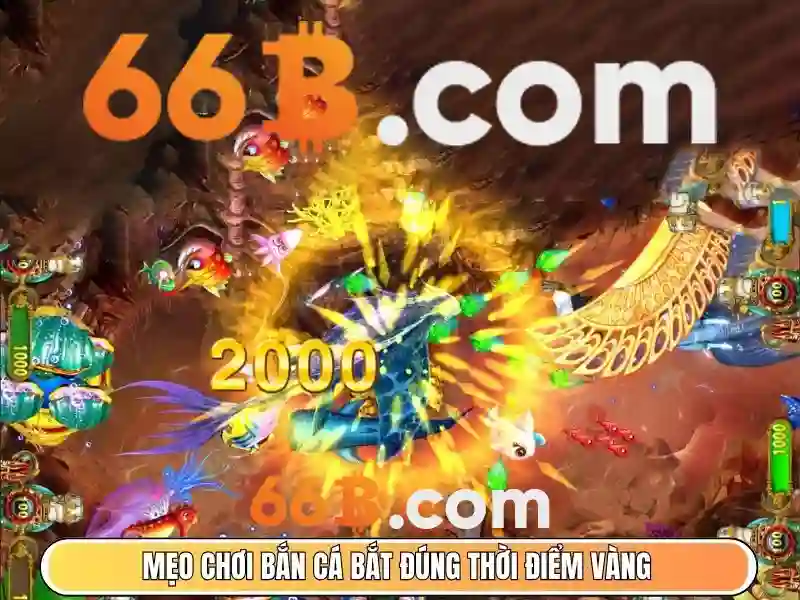 Bao_mat_du_lieu_va_quan_ly_truy_cap 