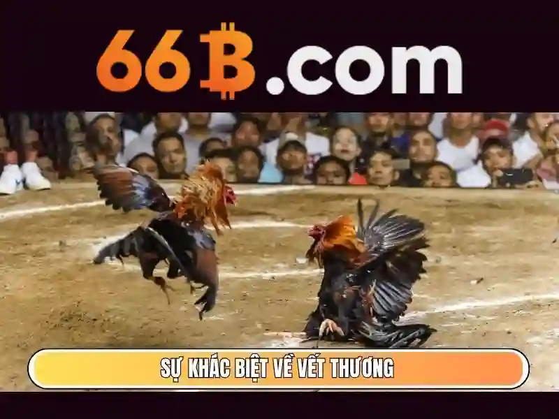 66b mới – Nền tảng đổi mới và câu chuyện thương hiệu toàn cầu