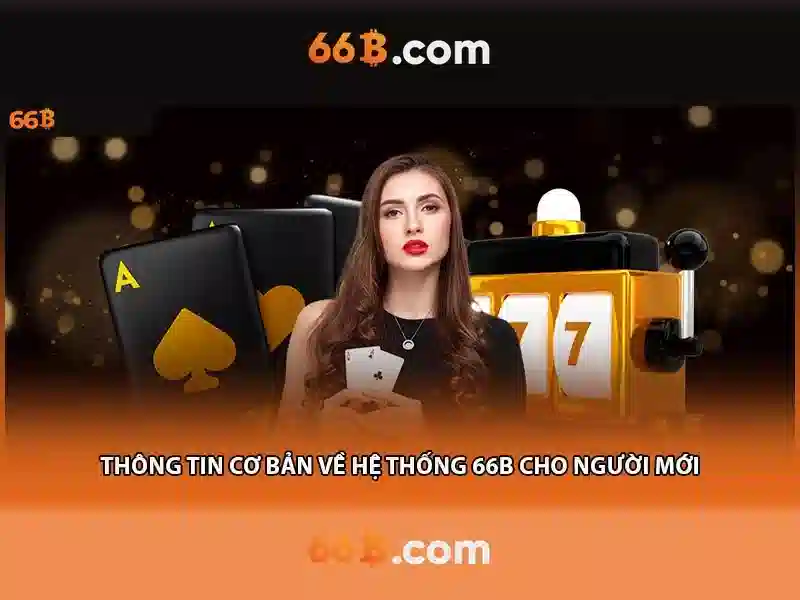 66B là gì?