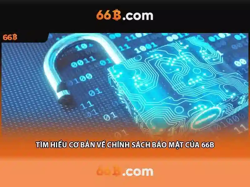 66b . com – Thương hiệu và trải nghiệm người dùng
