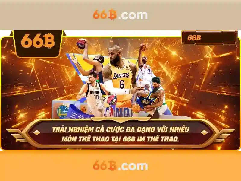 Đặc điểm và kích thước của 66B<h>Khả năng và ứng dụng của 66B</h><p style=