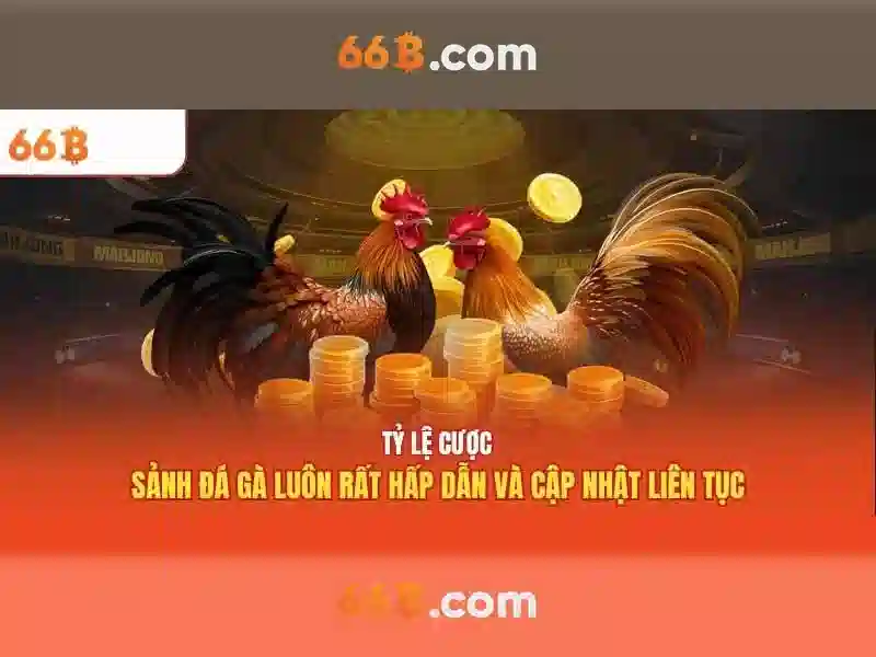 66B: Khám phá mô hình ngôn ngữ lớn và ứng dụng của nó