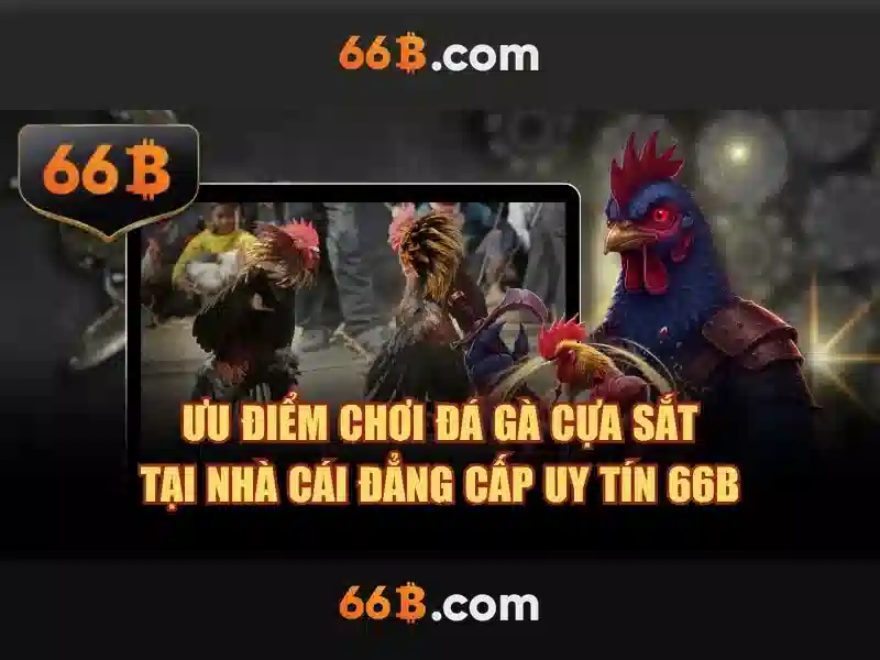 66b: Tổng quan và ứng dụng