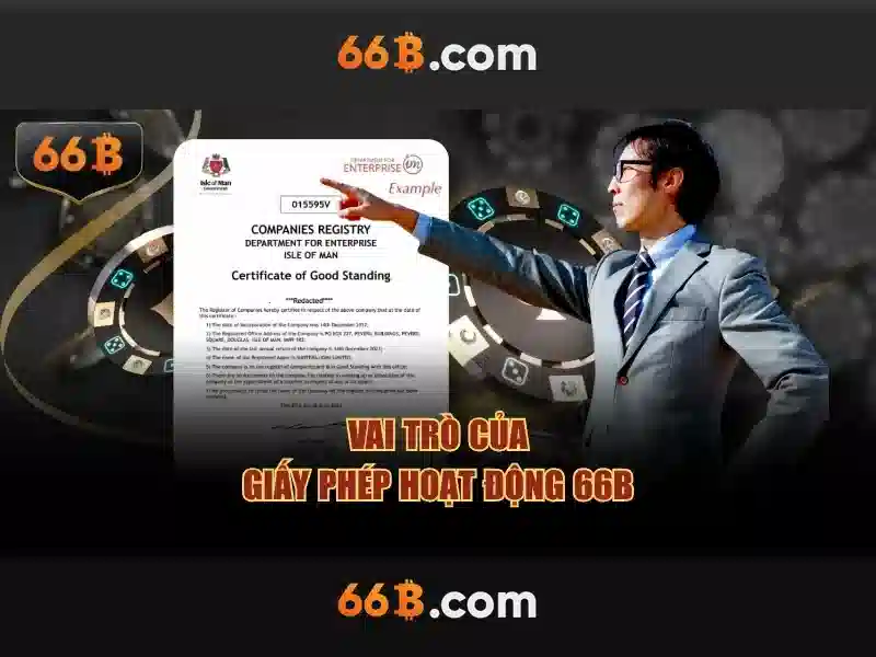 66B: một cái nhìn tổng quan và ứng dụng