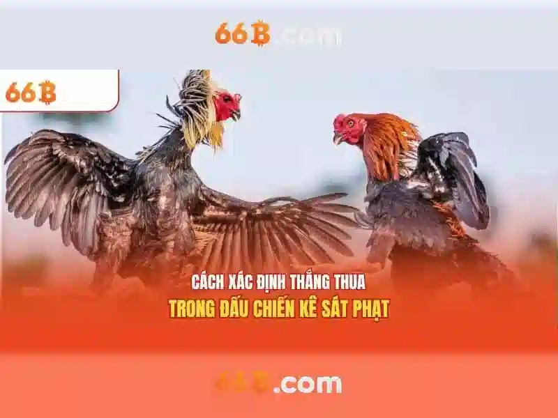 Kiến trúc tổng quát của 66b