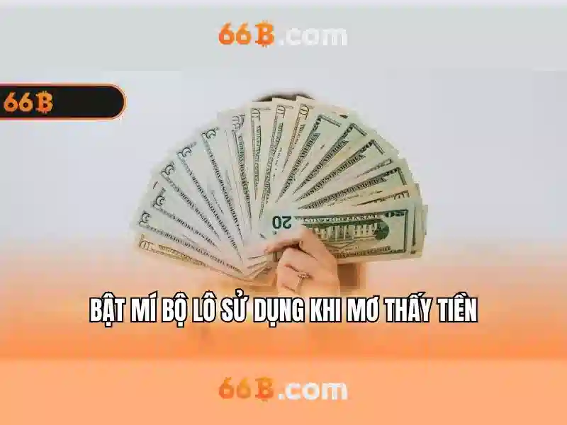 66B là gì và quy mô tham số