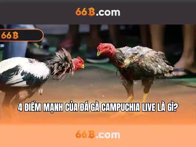 Sản phẩm và dịch vụ cốt lõi của ứng dụng 66b