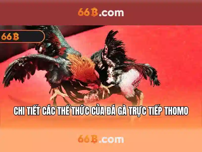 66B: Khai thác tiềm năng của mô hình ngôn ngữ lớn 66B