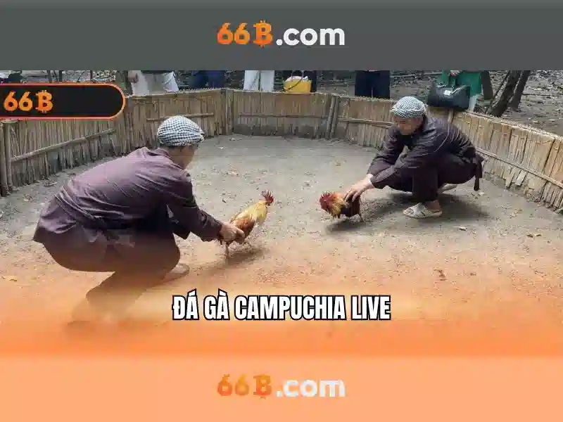 66b: Mô hình AI 66 tỷ tham số