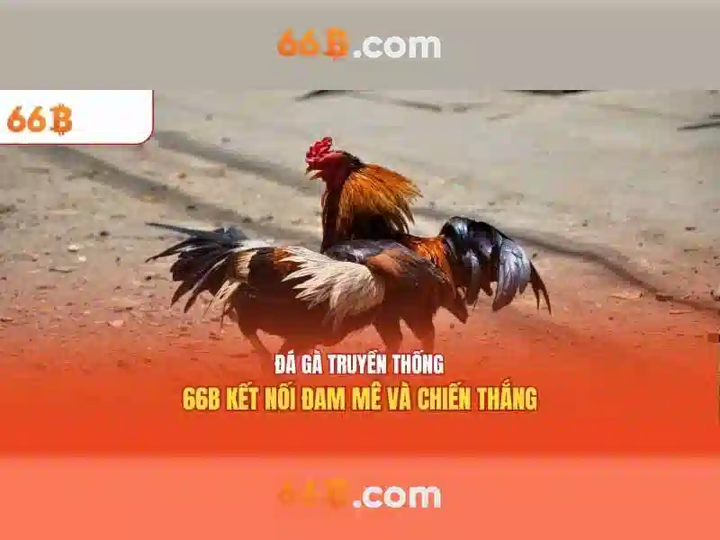 66b nguyễn sỹ sách p15 quận tân bình trường con - Tổng quan và Giá trị