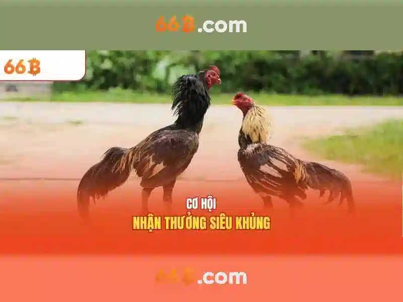 Ứng dụng phổ biến
