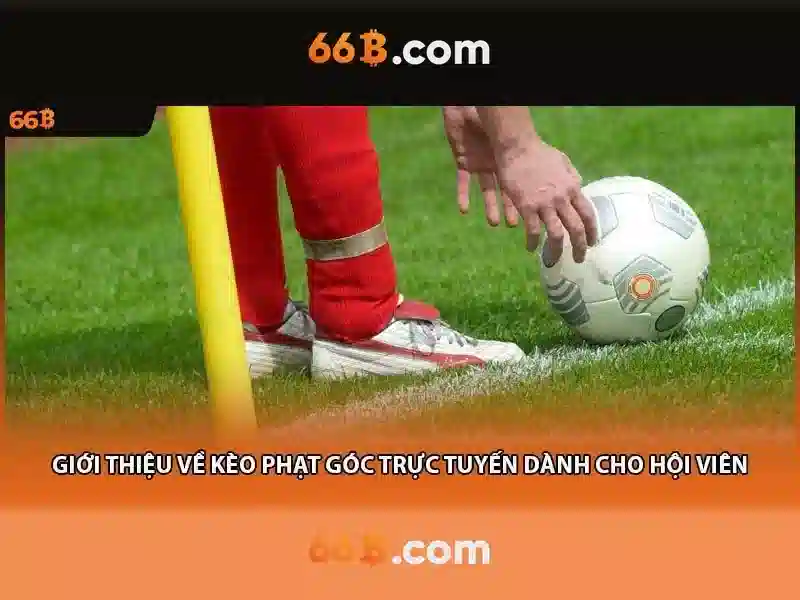 Sản phẩm và dịch vụ chính: 66b bus schedule ứng dụng thực tế