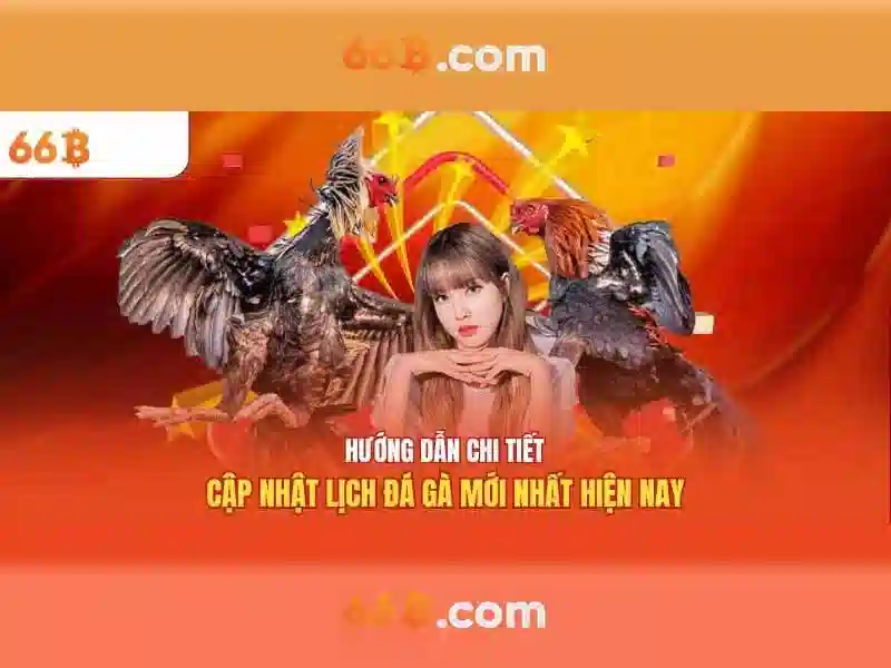 66b trong văn hóa số và xã hội