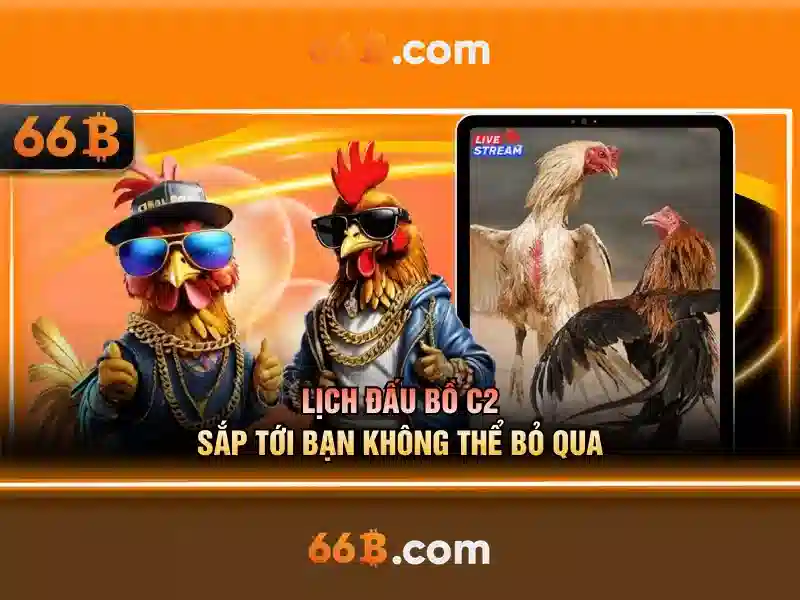 66b nguyễn sỹ sách p15 tân bình trường con – Trải nghiệm và giá trị