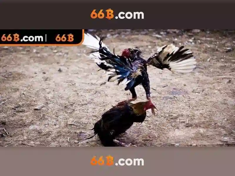 66b: Khám phá mô hình ngôn ngữ quy mô lớn