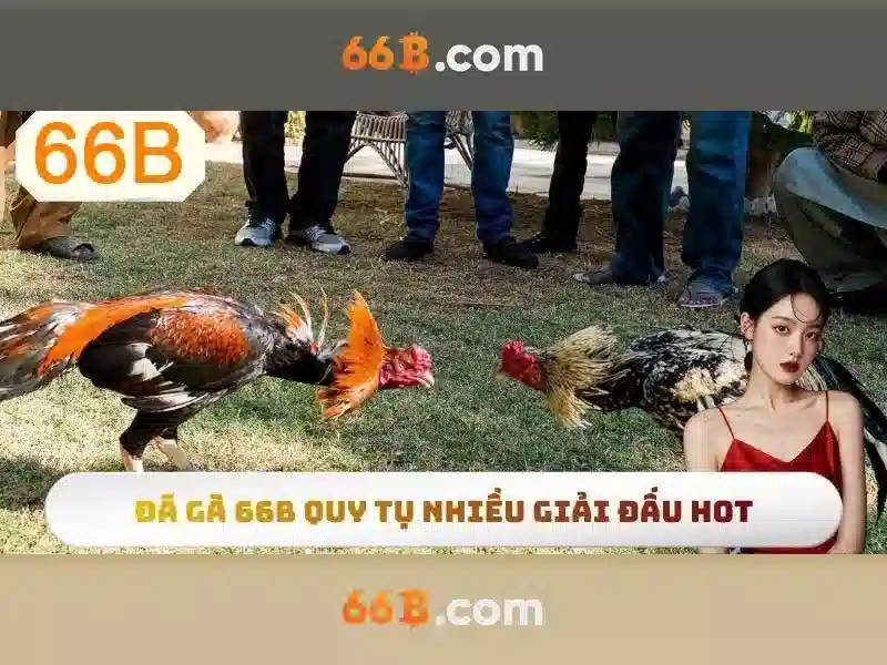 66b: một khái niệm và ứng dụng