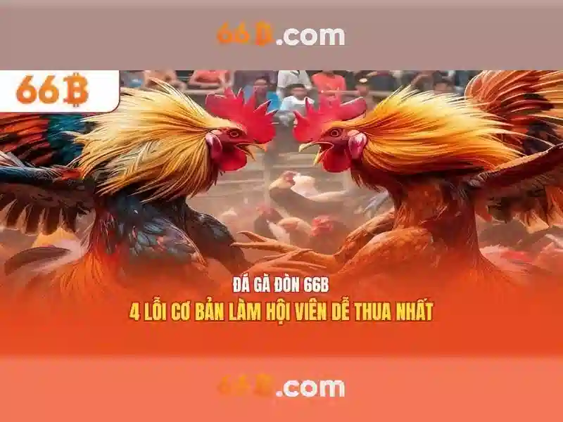 66B: Khai phóng sức mạnh của mô hình ngôn ngữ lớn