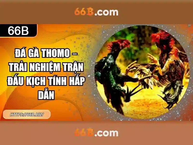 Kiến trúc và tham số