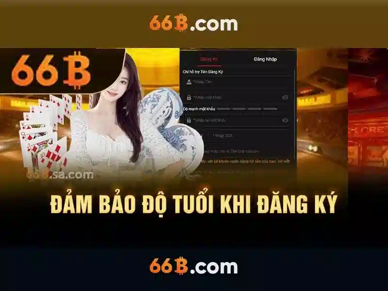 66B là gì