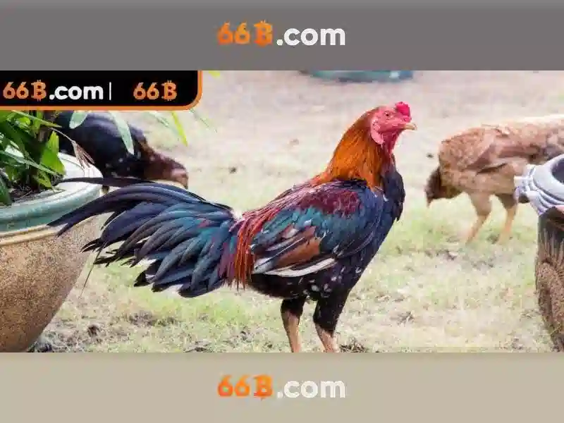 66b nguyễn sỹ sách p12 tân bình – hành trình thương hiệu và trải nghiệm