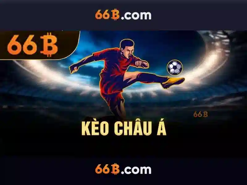 66B là gì