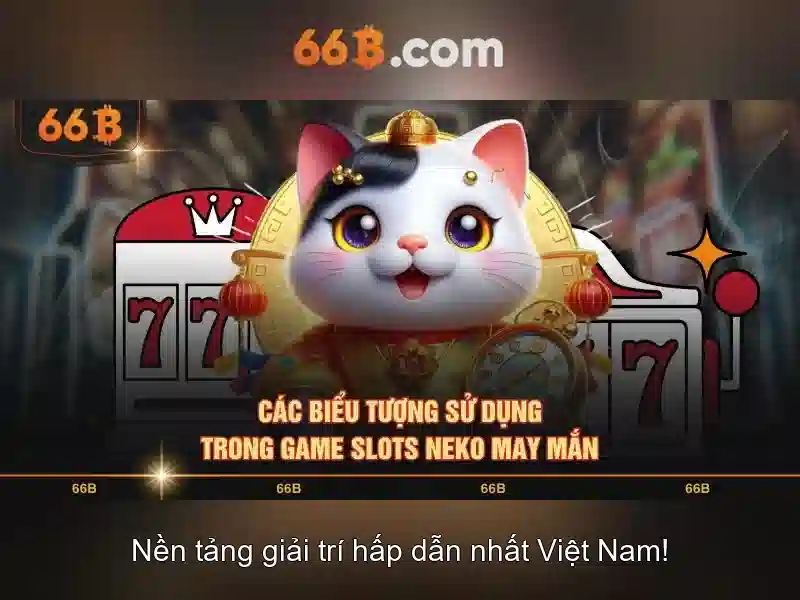 66B là gì