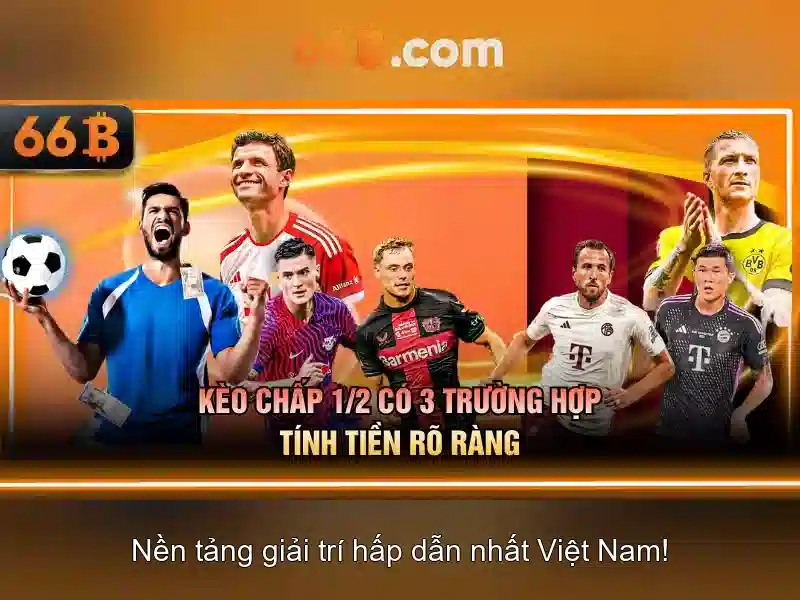 Lĩnh vực nghiên cứu