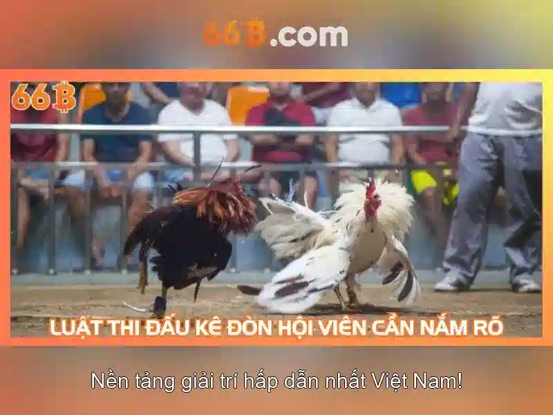 66b: ký hiệu và ý nghĩa trong công nghệ