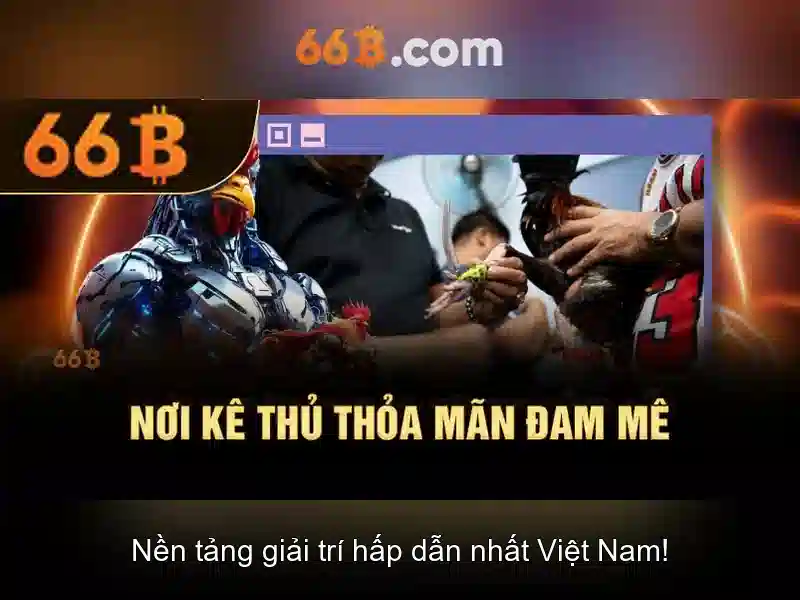 Kiến trúc và đặc điểm chính của 66B
