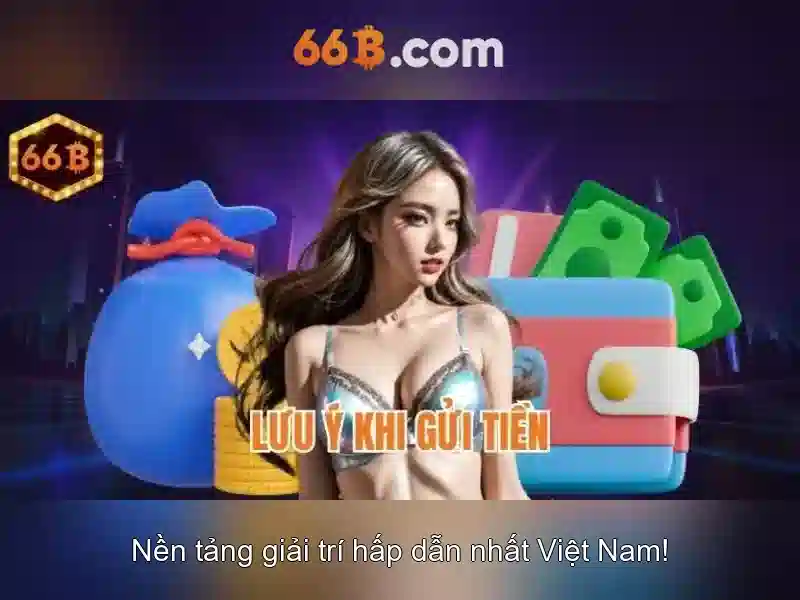 66B là gì