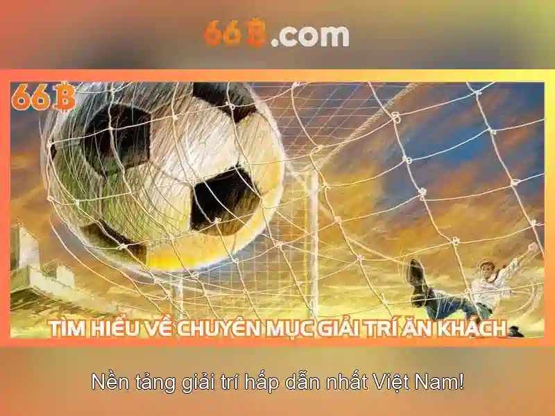 66B là gì?