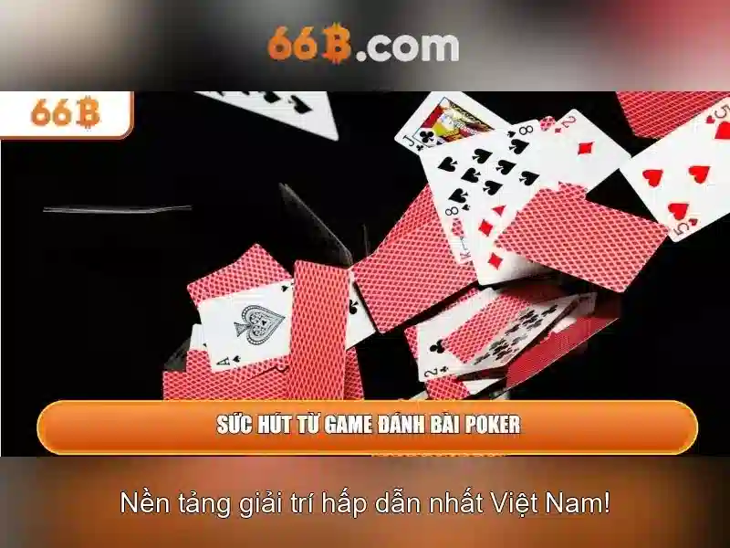 66b: một khía cạnh đa nghĩa