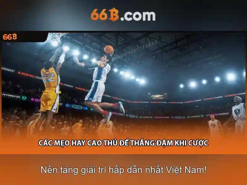 Ứng dụng và thách thức của 66B