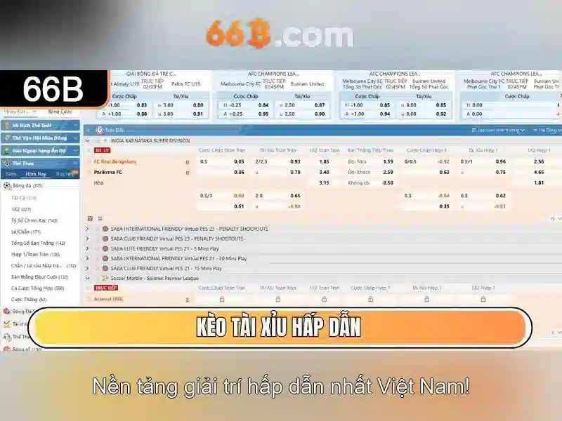 66b là gì?