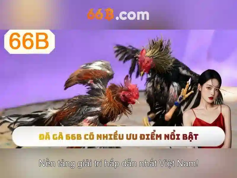 66B: Mô hình ngôn ngữ 66 tỷ tham số trong AI hiện đại