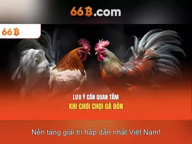 66b: một khái niệm và hành trình