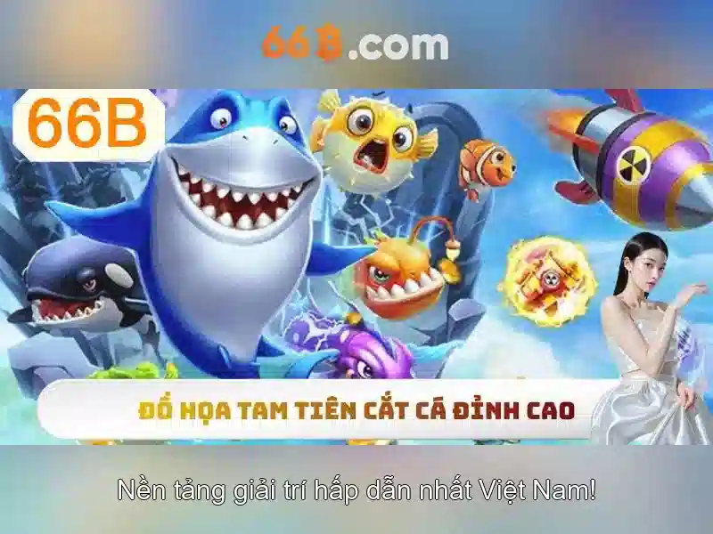 66b là gì? Khái niệm và ứng dụng