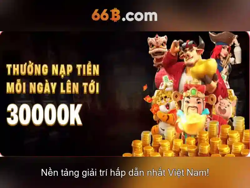 66B là gì