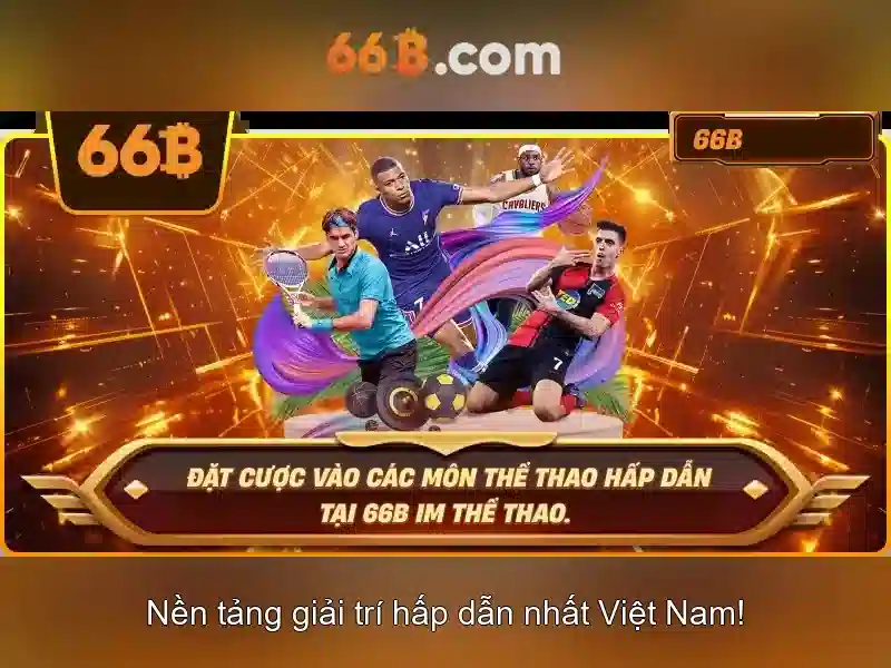 Đặc điểm nổi bật của 66B