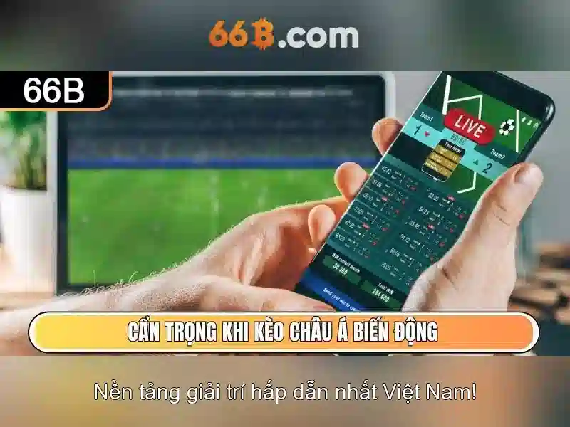 Thị trường và tương lai của 66B