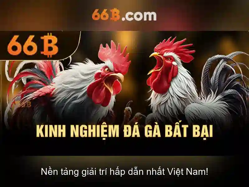 66b trong toán học và khoa học máy tính\n<h3>66b là gì trong đời sống hàng ngày</h3>\n<p style=