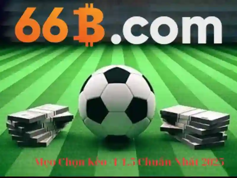 66b là gì?\n\n<h2 style=
