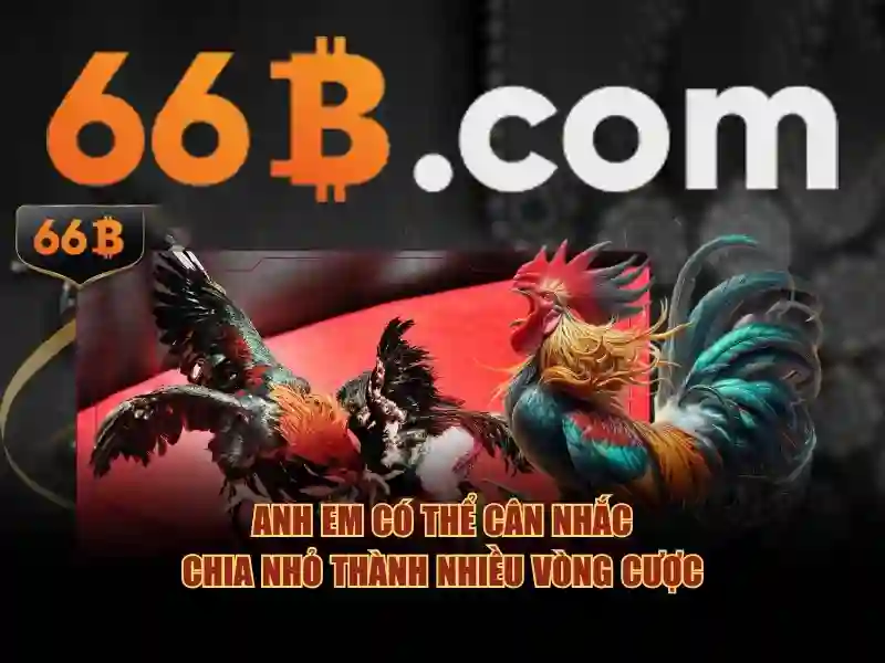 Lợi thế của 66B