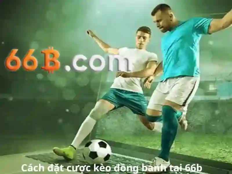 Khả năng và ứng dụng