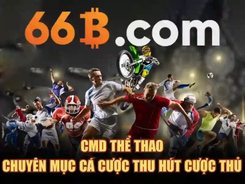 66b: một khía cạnh đa nghĩa