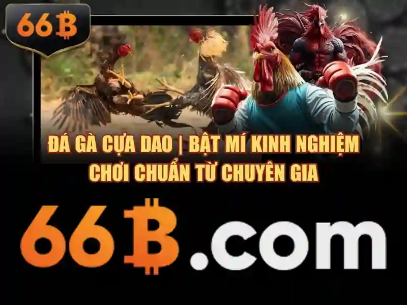 66B: Hiểu biết về một mô hình ngôn ngữ 66 tỷ tham số
